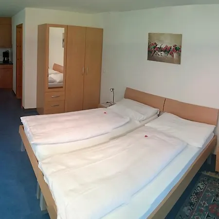 酒店 Restaurant Hemmi 楚尔瓦尔登