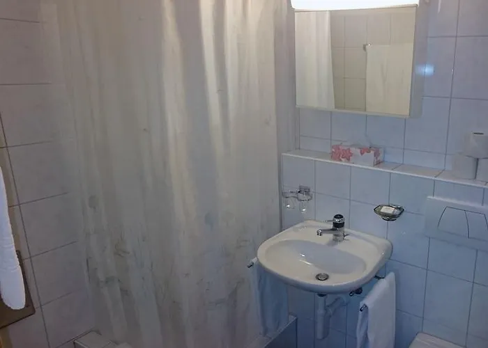 Restaurant Hemmi Hotel 3*