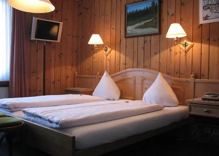 Restaurant Hemmi Hotel 3*