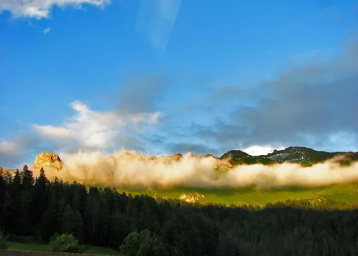 Restaurant Hemmi شورفالدن