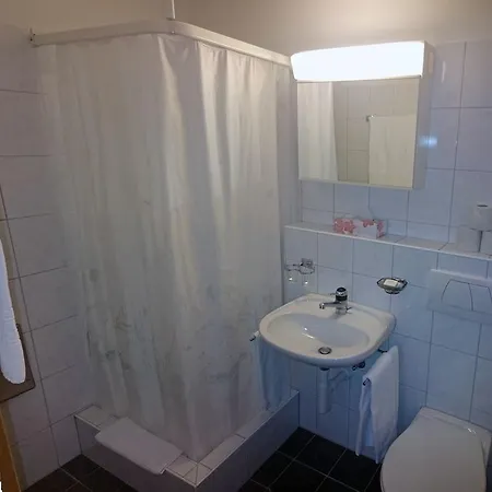 Restaurant Hemmi Hotel 3*